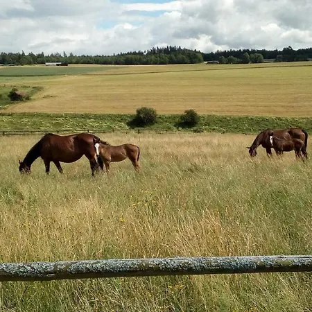 Apartamento Schoene Aussicht *