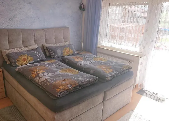 Διαμέρισμα Schoene Aussicht *