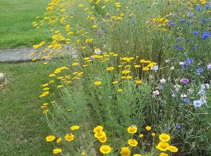 Διαμέρισμα Schoene Aussicht Vöhl