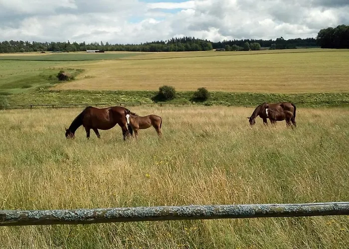 Διαμέρισμα Schoene Aussicht *